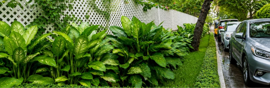 Modern South Indian courtyard garden